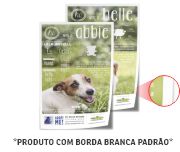 FOLHAS AVULSAS